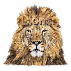 Safari Readers Wildlife Books for Kids English eBook-0