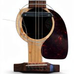 Country Folk Musician Biography Kindle Edition English-0