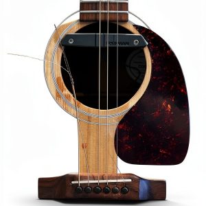 Country Folk Musician Biography Kindle Edition English-0